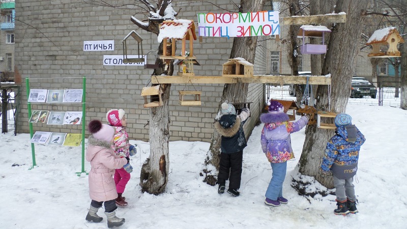 Картинка птичья столовая в детском саду